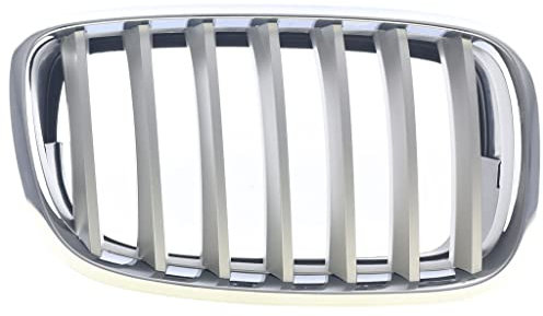 Kühlergitter Kühlergrill Titan Kompatibel mit BMW X5 E70 06-10
