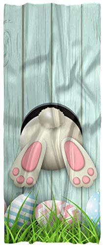 FVQL Damen Schals Langer leichter Seidenschal, Osterhase mit Eiern