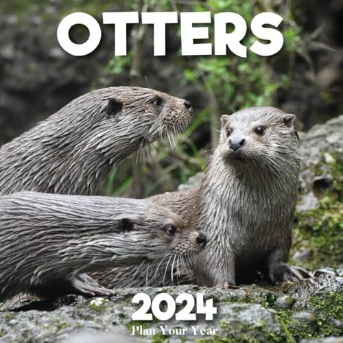 Plan Your Year Otters 2024: Planning is the key to success, Organize Your Year with monthly, and weekly planning for Otters enthusiasts as New Year 2024 gifts