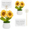 Liuer Pocket Hug Sonnenblume, Kreative Strickwolle Puppe für Frauen, Abschiedsgeschenk Kollegen, Beste Freundin, Mutmacher, Gute Besserung, Glücksbringer Prüfung (B)