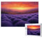 Puzzle 5000 Teile Lavendel Puzzles für Erwachsene Sonnenuntergang HD Puzzel Anspruchsvolles Lustig Kreatives Unterhaltungsspiel,DIY Holzpuzzle für Erwachsene Als Feiertage Geschenk fur Frauen M-786