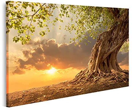 islandburner Bild auf Leinwand Schöner Baum Bei Sonnenuntergang Bilder Wandbilder Poster