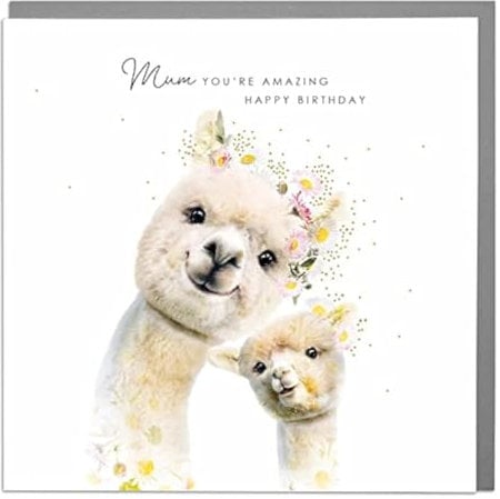 Lola Design – Geburtstagskarten für Mütter – Alpaka-Design, Mum You're Amazing, Geburtstagskarte – Blanko-Karte mit grauem Umschlag – entworfen und gedruckt in Großbritannien – 150 mm x 150 mm