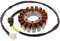JMP Lichtmaschine Stator für Honda CBR 600 F UVM. Motorrad