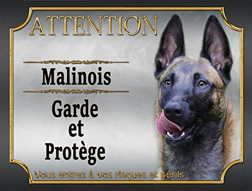 Plaque Attention Chien malinois garde et protège métal Aluminium 15 cm x 20 cm malinois monte la garde modèle argent2