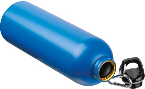 Livepac-Office Edelstahl Trinkflasche/mit Karabiner / 750ml / Farbe blau
