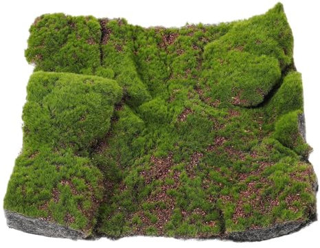 WYLFYJP 30x30cm Simulation Pflanze Moos Felsen Wand Hängende Dekoration Moos Rasen Wand Panel Moos Fliesen Gras Rasen for Wohnkultur Garten