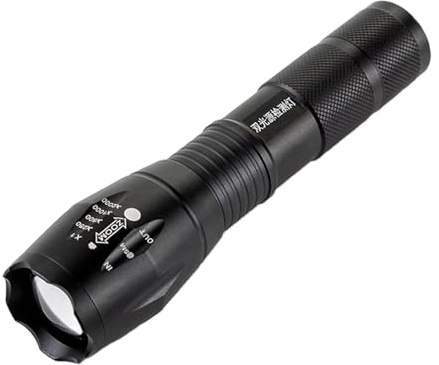 Lampe de Poche UV avec lumière Blanche | Torche Violette LED Portable