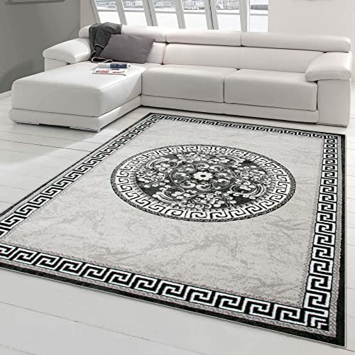 Teppich-Traum Orientteppich mit Glitzergarn | Bordüre & Verzierungen in Kreisform | grau anthrazit Creme 160x220 cm
