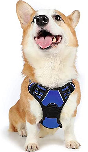 rabbitgoo Hundegeschirr Mittelgroße Hunde Anti Zug Geschirr Hund mit Kontrolle No Pull Verstellbar Hundegeschirr Grosse Hunde Atmungsaktiv Reflexstreifen Brustgeschirr Hund Sichere Führung Blau M