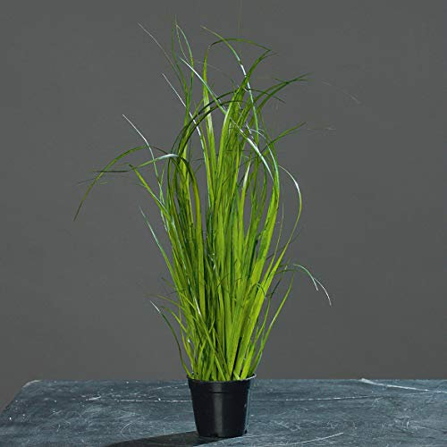 mucplants Chinaschilf Kunstgras, 35cm, im schwarzen Topf/Kunstpflanze/künstliches Gras