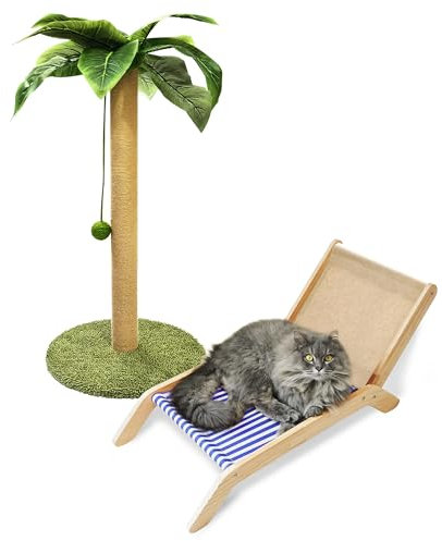 PETKARAY Katzenkratzbaum mit Katzenstrandkorb, 91,4 cm hoch Palme Katzenkratzbaum, großer Sisal-Kratzbaum für Indoor-Kätzchen