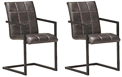 IBUQDDV Freischwinger 2 STK. Grau Echtleder Retro Design Used Effekt Stühle mit gepolsterter Sitzfläche und Rückenlehne für Küche Esszimmer robuste Eisenrahmen langlebig bequem