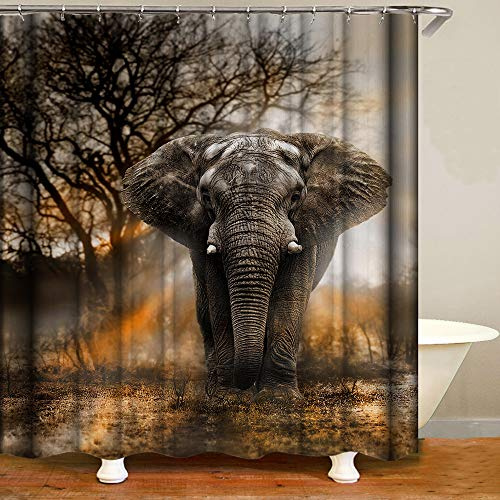 Shocur Grauer Elefanten-Duschvorhang, tropische afrikanische große Tiere und Herbstsonnenuntergang Wald Bäume Landschaft, 183,9 x cm, Badvorhang, Polyester-Stoff, Badezimmer-Dekor-Set mit 12 Haken