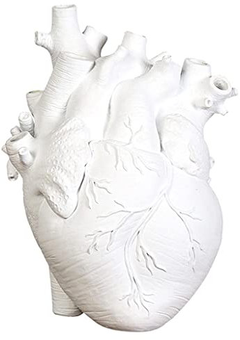 Tubayia Herz Statuen Vase Anatomisches Blumentopf Blumenvase Pflanzer für Wohnzimmer TV Schrank Schlafzimmer (Weiß 15x 10,5 X21cm)