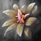 adrium Acryl-Bild 70 x 70 cm: Stillleben Blume malen(55105648)