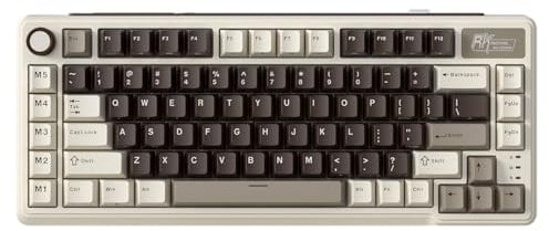 RK ROYAL KLUDGE F99 Kabellose mechanische Tastatur mit Nummernblock, Tri-Mode Hot-Swap-fähige Gaming-Tastatur mit 95%100Tasten, BT/2,4 G/USB-C, Pro-Software, 5000 mAh Akku, benutzerdefinierte Schalter