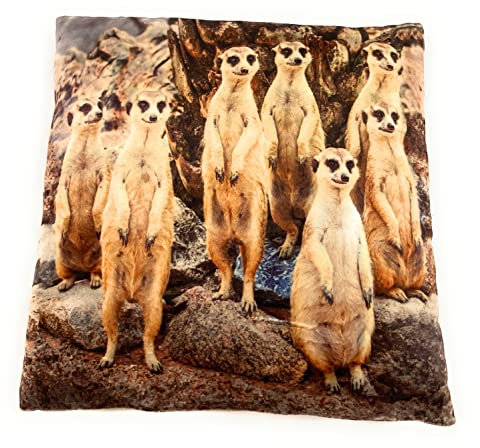 Onwomania Erdmännchen Huftier Surikate Plüsch Kissen für Sofa oder Bett als Deko, Dekoration oder Kuschelkissen 35x35 cm