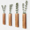 Btstil 4 Stück Holz Wandvase, Wand Pflanzgefäß Heimdekoration, Hängende Pflanzgefäße aus Holz für Trockenblumen und Künstliches Grünpflanzen (4 Stück)