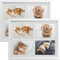 bomoe 2x Bilderrahmen Collage für 4 Fotos 10x15 cm – Fotorahmen Collage aus Holz, Kunststoffglas, Metall-Aufhängung & Passepartout Multirahmen für Bilderrahmen Set – Bilderrahmen 10x15 Weiß Galeria
