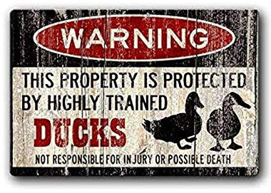 Enten-Schild, lustig, Enten-Warnschild, Enteneier, lustiges Entenschild, geschützt durch Enten, Homestead Schild, Entenlady, Geschenk, Metall-Blechschild, 20,3 x 30,5 cm
