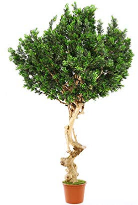 Künstlicher XXL Olivenbaum Kreta ca. 320cm hoch mit ca. 270cm uv-geschützter breiter Blätterkrone und Oliven Früchten im Topf