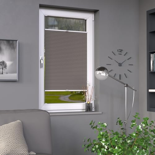 Deco-Raum Plissee auf Maß Grau Fenster Plisseerollo Faltstore Jalousie Sonnenschutz Sichtschutz lichtdurchlässig Rollo für Fenster & Tür B:141-150 cm, H: 201-250 cm