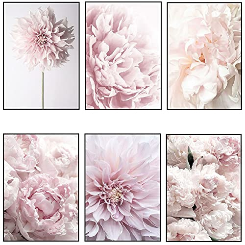 OYFFL 6 Arte Moderno Acuarela Flores Pintura al óleo sobre Lienzo Carteles e Impresiones peonía Rosa Cuadro de Arte de Pared para decoración de Sala de Estar (20 * 30cm)
