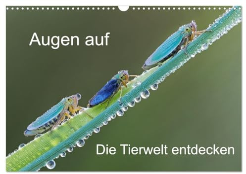 Augen auf - versteckte Tierwelt (Wandkalender 2026 DIN A3 quer), CALVENDO Monatskalender: Die Natur steckt voller Überraschungen. (CALVENDO Tiere)