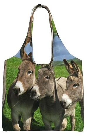Las Vegas Night City One Shoulder Pendeln Segeltuchtasche Handtasche Große Kapazität Canvas Tasche Wiederverwendbare Einkaufstasche, Esel auf grüner Wiese, Einheitsgröße