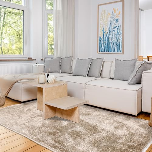 Astra Hochwertiger Teppich Wohnzimmer, Schlafzimmer - Kuscheliger Kurzflorteppich weich - Einfarbiges Flachgewebe für Innen - Teppich Beige, 120 x 180 cm