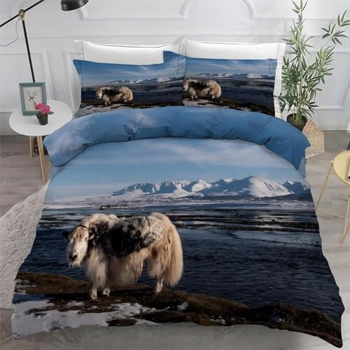 SJSXWQN Bettwäsche 135x200 Yak-Eisberg Bettwäsche-Set mit Reißverschluss Schließung für Kinder Mädchen Weicher Atmungsaktive Mikrofaser Bettbezug + 2 Kopfkissenbezug 80x80 cm