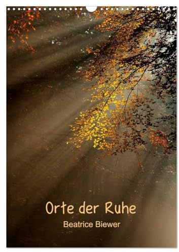Orte der Ruhe (Wandkalender 2026 DIN A3 hoch), CALVENDO Monatskalender: Ruhige Orte zum entspannen und Energie laden (CALVENDO Orte)