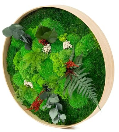 Moos Design | Rundes Moosbild - Durchmesser 30-90 cm (Dschungel Design, Holzrahmen: natur, Ø 30 cm)