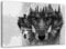 Feeby Bilder Wolf Wald Tiere XXL 120x80 cm 1Teilig Wandbilder Bild auf Leinwand Leinwandbilder Kunstdruck Wanddeko Wohnzimmer Schlafzimmer Schwarz Weiß