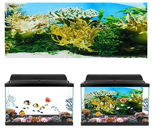 HEEPDD Aquarium Poster, Wasserpflanzen Korallen Aquarium Hintergrund Poster PVC Kleber Terrarium Papier Aufkleber für Aquarium Aquarium Dekoration(122 * 50cm)