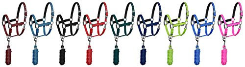 EQUESTRO Halfter aus Nylon, Modell Shiny Fitintings (Pony, Royal Blau)