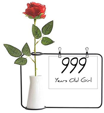Künstliche Rosen, hängende Vasen, Dekoration für Mädchen, 999 Jahre altes Mädchen, Art-déco-Stil, Geschenk, Mode, künstliche Rose, Blumenvasen, Flasche
