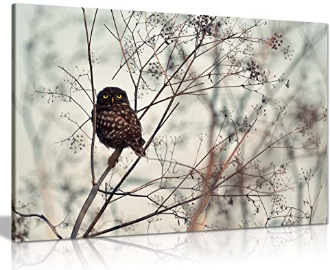 Panther Print Fine Art Prints Autumn Owl In Tree Animal Wildlife Artistic Framed Canvas Print, Pictures for Home Walls, Bedroom, Living Room & Bathroom Decor 46x31cm (18x12in)