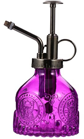 OFFSCH Arrosoir Vintage en Verre avec Pompe À Pulvérisation pour Garçons Filles Adultes Facile À Utiliser pour Les Besoins des Plantes