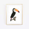 Din A4 Kunstdruck ungerahmt - Tucan Tukan Vogel Tropisch Papagei Vintage Retro Zeichnung Druck Poster Bild
