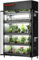 Spider Farmer Pflanzenständer 6 Etagen Einstellbar mit 10 Stück 220w Vollspektrum Led Pflanzenlampe und Growzelt Komplettset Gwächshaus Regal Klein Indoor Outdoor Balkon Metall Schwarz 110x40x180CM