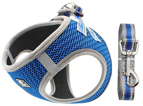 Hundegeschirr Set mit Leine für kleine Hunde - Brustgeschirr ausbruchsicheres Katzengeschirr Welpengeschirr Step-In Geschirr für kleine Hunde, Welpen, Katzen M Blau