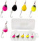 Forellen Spinner Set | 5 Trout Spinner inklusive Box | Forellen Köder Set | Angeln (4.5g)