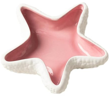 Plato de cerámica con forma de estrella para joyas, bandeja de joyería con forma de estrella de mar, soporte para anillos, aretes estilo océano, plato de almacenamiento para collares, cuenco