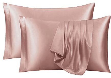 Ersmak Satin Pillowcase Standard Set of 2, Ultra Soft & Silky Satin Pillow Cases for Hair and Skin, Wrinkle Fade Resistant Pillow Covers with Envelope Closure (Champagne)