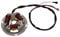 Lichtmaschine Stator Unterbrecher 6V mit Grundplatte für Simson SR50 S51 Roller
