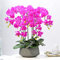 Orchidee Kunstblumen Klassische Orchideen Künstliche Topf-Kunstorchideen mit Vase Künstliche Phalaenopsis-Blumen Pflanzenarrangement Kunstblumen