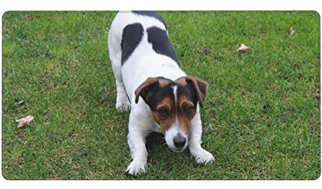 Tapis de souris motif chiens jouant sur la pelouse 40,6 x 74,9 cm base en caoutchouc antidérapant, tapis de souris lavable pour ordinateurs portables, maison, bureau et jeux