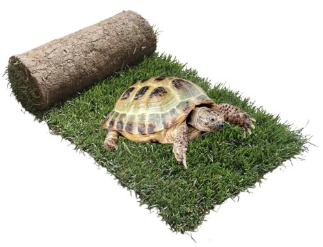 Ricarica S Tartarughe 60x40cm - Terrario tartarughe di terra in vero prato naturale, Ricambio facile da sostituire per il Kit tartarughe S, casetta per tartarughe da interno dura fino a 5 mesi
